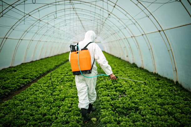 Insect Control in Peru, IN