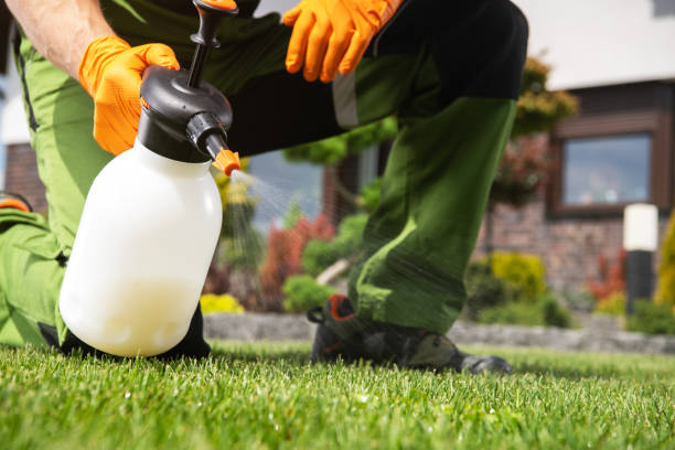 Best Bird Control  in Peru, IN