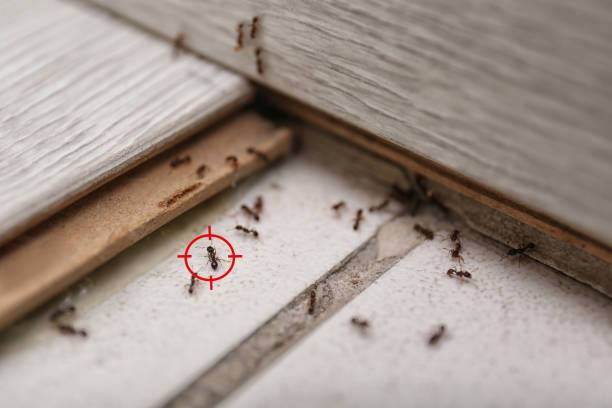 Best Exterminator Services  in Peru, IN