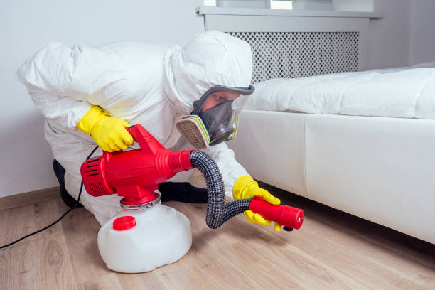 Best Insect Control  in Peru, IN