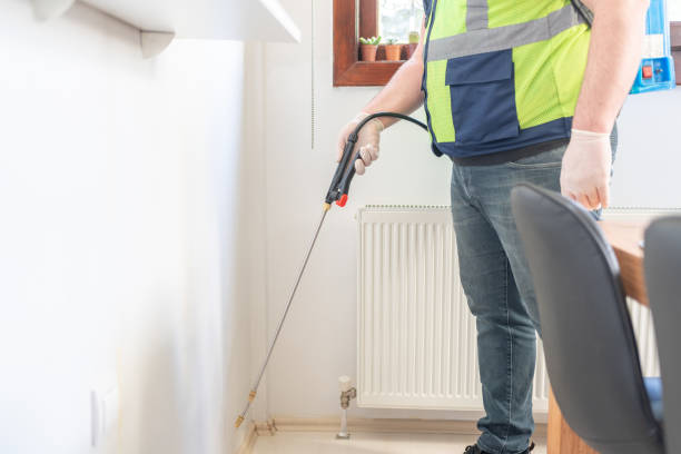 Best Termite Control Services  in Peru, IN