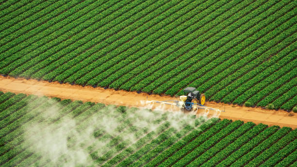 Best Exterminator Services  in Peru, IN