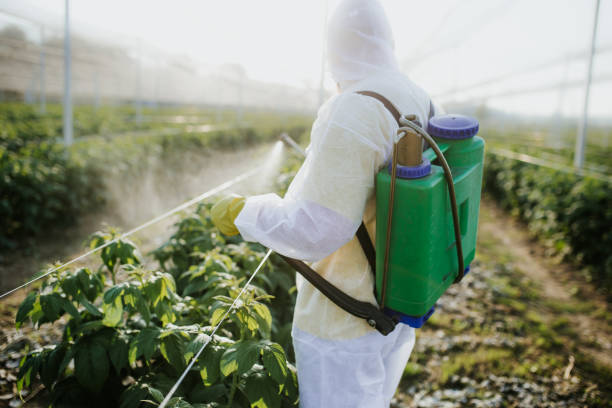 Bird Control in Peru, IN